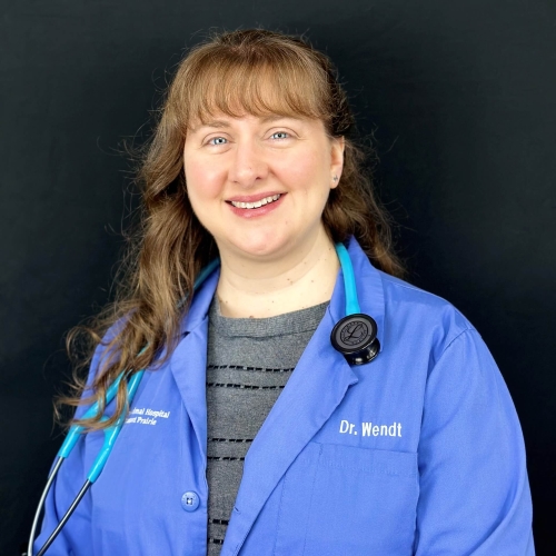 Erin N. Wendt, DVM